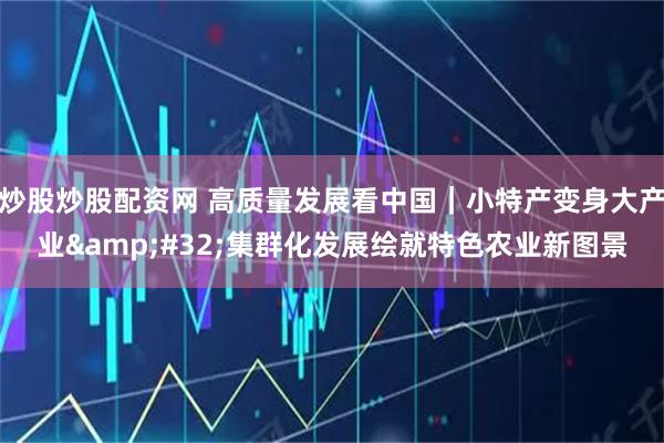 炒股炒股配资网 高质量发展看中国｜小特产变身大产业&#32;集群化发展绘就特色农业新图景