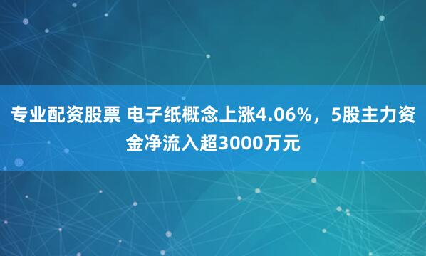专业配资股票 电子纸概念上涨4.06%，5股主力资金净流入超3000万元